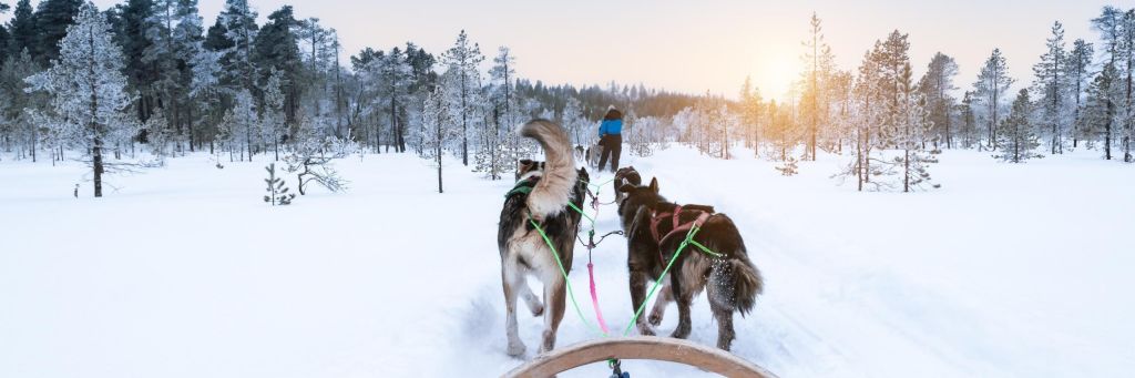 Let Do Ivalo od 69,99 €*