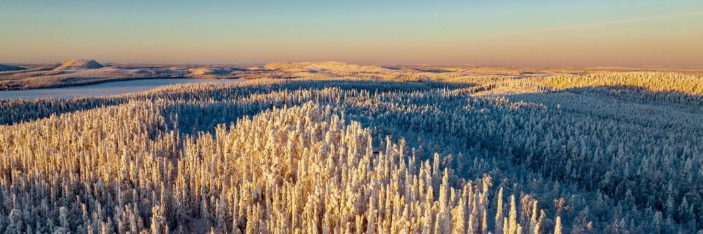 Let Do Kuusamo od 44,99 €*