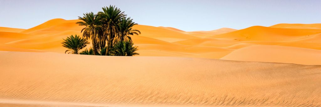 Let Do Nador od 39,99 €*