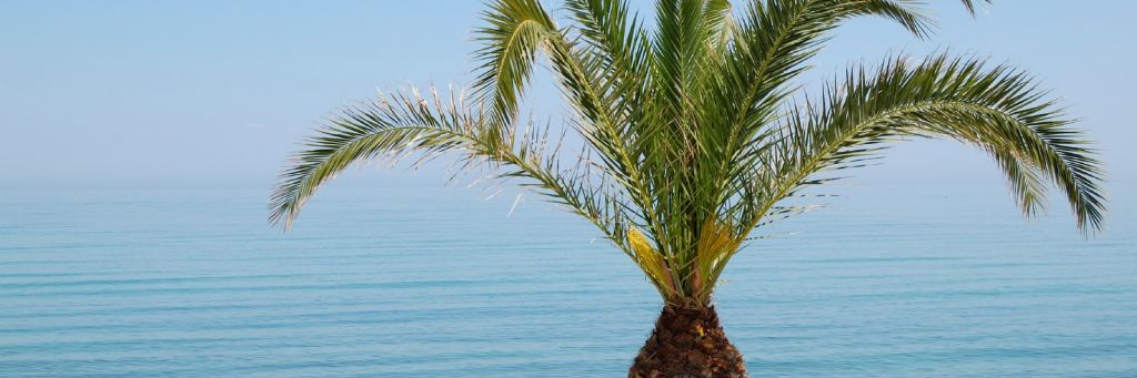 Thessaloniki ab 144,99 €*