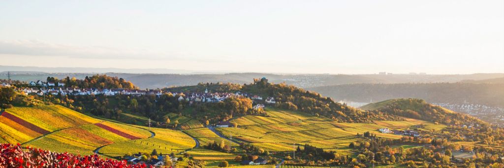Stuttgart dès 94,99 £GB*